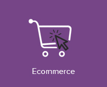 e-Commerce Solutions