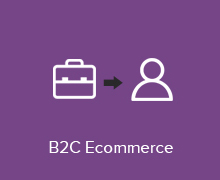 B2C E-commerce