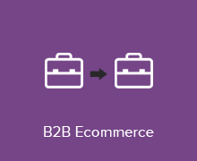 B2B E-commerce