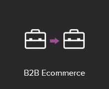 B2B E-commerce